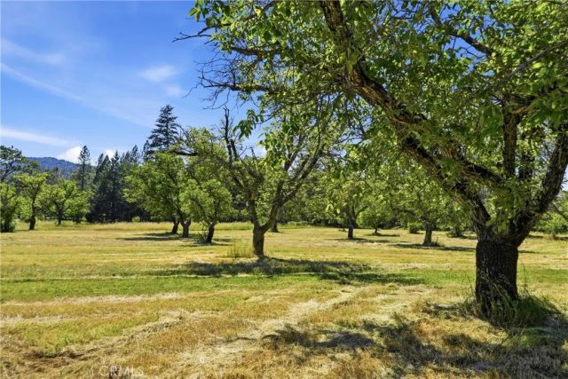 22550 Shady Grove Road, Middletown, CA 95461