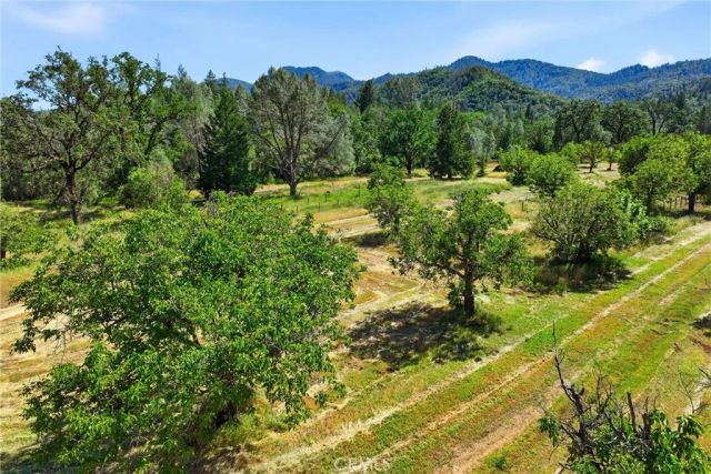 22550 Shady Grove Road, Middletown, CA 95461