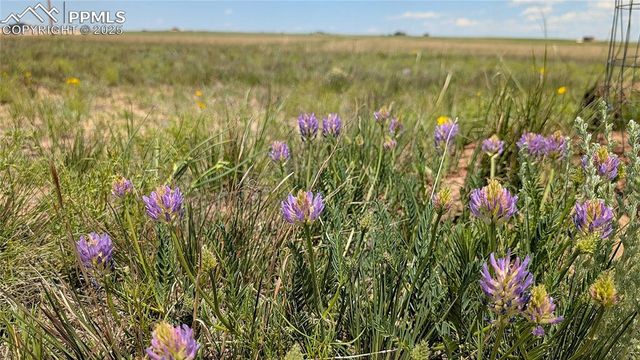 7995 Cowboy Ranch View, Peyton, CO 80831