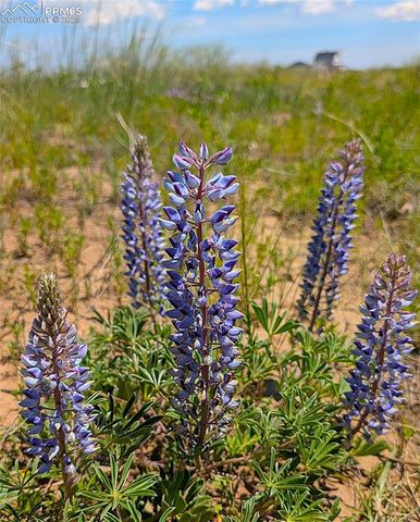 7995 Cowboy Ranch View, Peyton, CO 80831