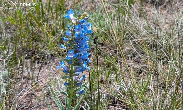 7995 Cowboy Ranch View, Peyton, CO 80831