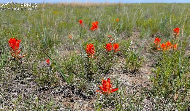7995 Cowboy Ranch View, Peyton, CO 80831