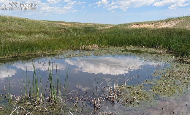 7995 Cowboy Ranch View, Peyton, CO 80831