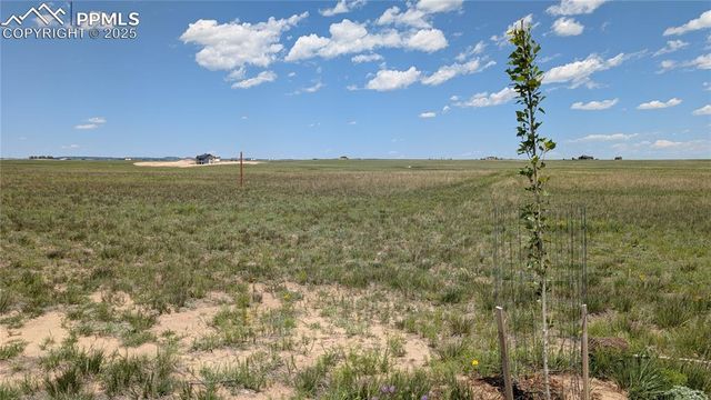 7995 Cowboy Ranch View, Peyton, CO 80831