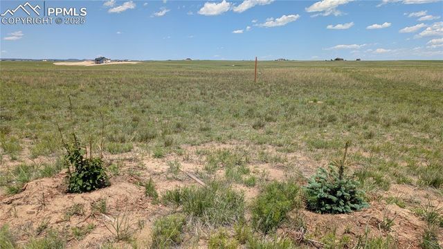 7995 Cowboy Ranch View, Peyton, CO 80831