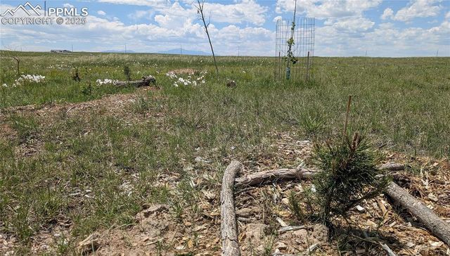 7995 Cowboy Ranch View, Peyton, CO 80831