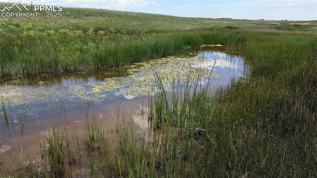 7995 Cowboy Ranch View, Peyton, CO 80831