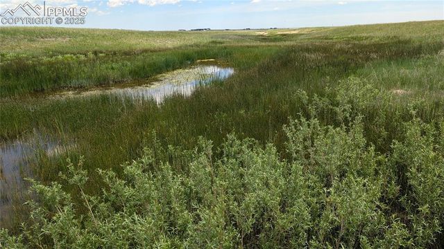 7995 Cowboy Ranch View, Peyton, CO 80831