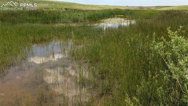 7995 Cowboy Ranch View, Peyton, CO 80831
