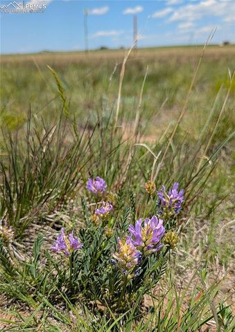7995 Cowboy Ranch View, Peyton, CO 80831