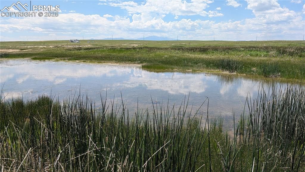 7995 Cowboy Ranch View, Peyton, CO 80831