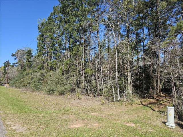 180 Hall Drive S, Montgomery, TX 77316