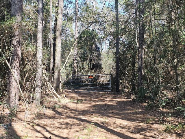 180 Hall Drive S, Montgomery, TX 77316