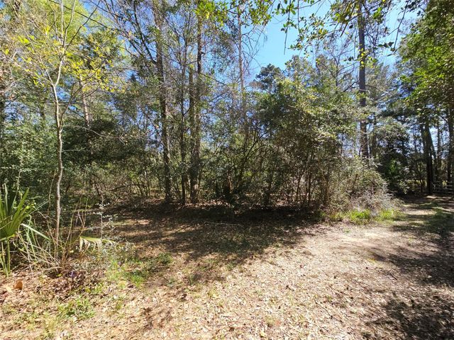 180 Hall Drive S, Montgomery, TX 77316