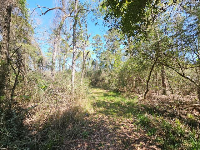 180 Hall Drive S, Montgomery, TX 77316