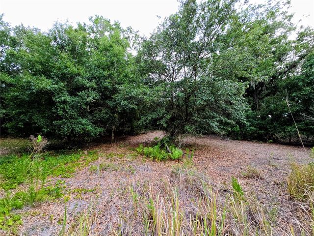 AVON-PARK CUTOFF ROAD, Fort Meade, FL 33841