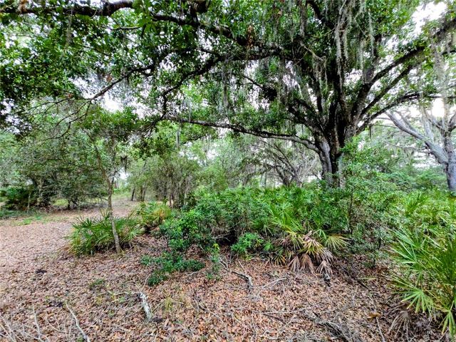 AVON-PARK CUTOFF ROAD, Fort Meade, FL 33841