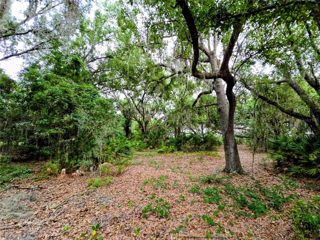 AVON-PARK CUTOFF ROAD, Fort Meade, FL 33841