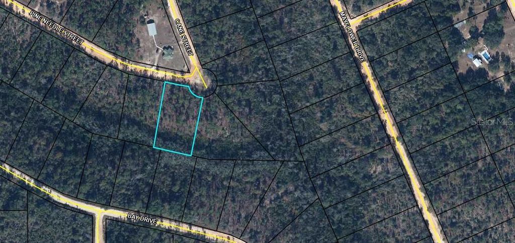 TBD PINE NEEDLE STREET, Marianna, FL 32448