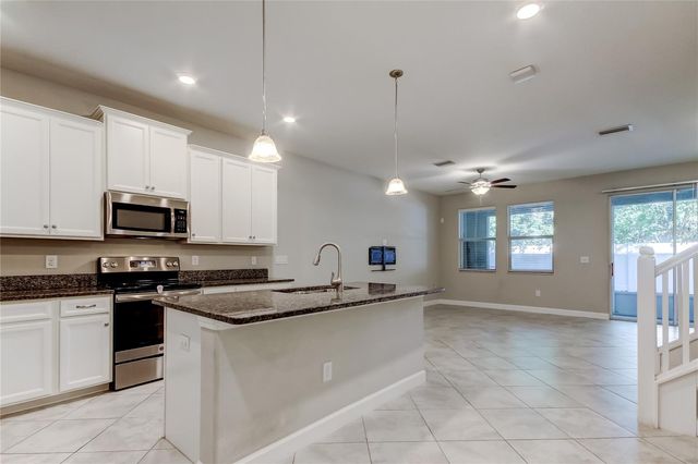 6623 CITRUS CREEK LANE, Tampa, FL 33625