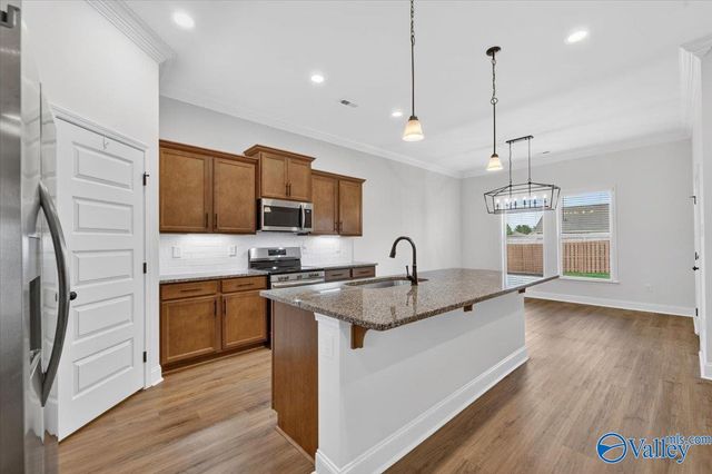 15908 NW Big Ben Drive, Harvest, AL 35749