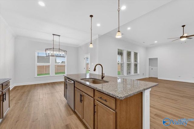15908 NW Big Ben Drive, Harvest, AL 35749