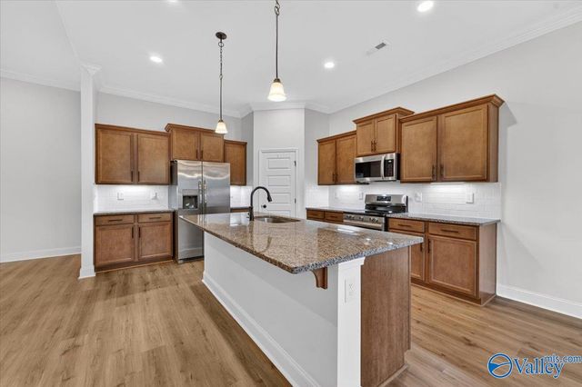15908 NW Big Ben Drive, Harvest, AL 35749