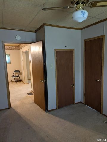 1205 BURGESS Avenue, Johnston City, IL 62951