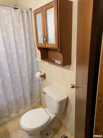 1205 BURGESS Avenue, Johnston City, IL 62951