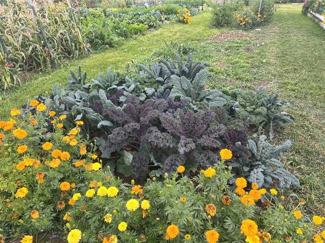 7535 Birch Creek Road, Dillon, MT 59732