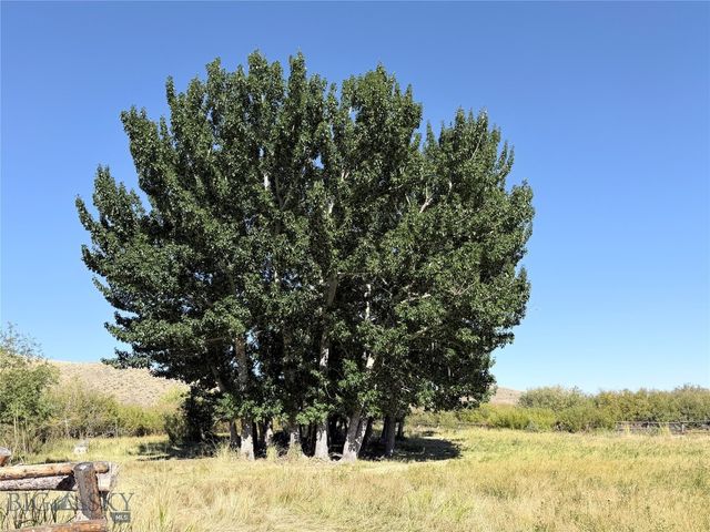 7535 Birch Creek Road, Dillon, MT 59732