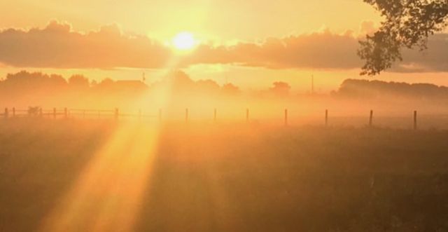 15 Acres Bernardo Road, Cat Spring, TX 78933