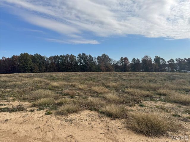 108 Hickory Heits Court, Moscow Mills, MO 63362