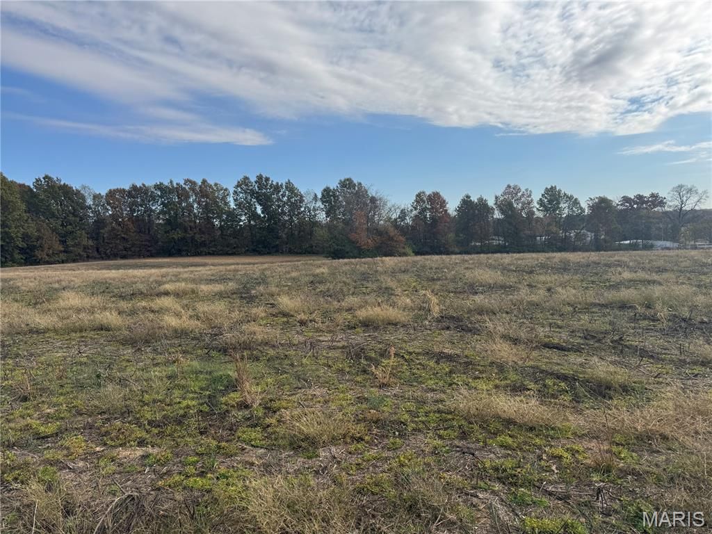 108 Hickory Heits Court, Moscow Mills, MO 63362