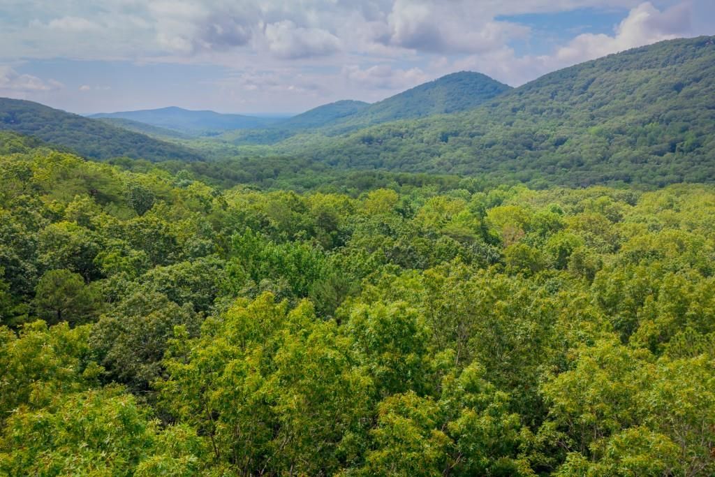 25 Lady Slipper, Big Canoe, GA 30143