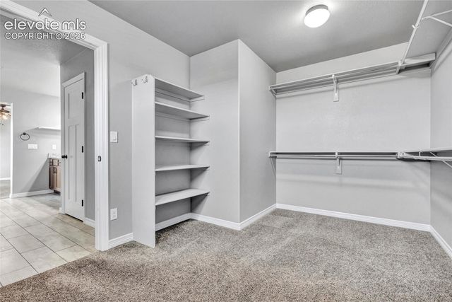 7585 Bonterra Lane, Colorado Springs, CO 80925