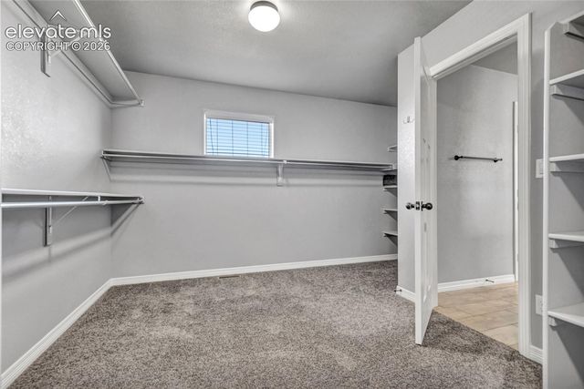 7585 Bonterra Lane, Colorado Springs, CO 80925