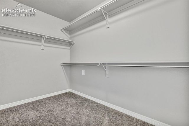 7585 Bonterra Lane, Colorado Springs, CO 80925