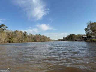 320 Drayton Woods Road, Vienna, GA 31092