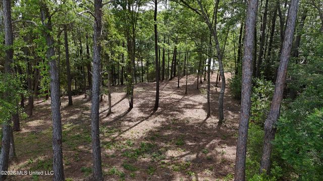 Honduras Drive, Gautier, MS 39553