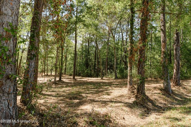 Honduras Drive, Gautier, MS 39553