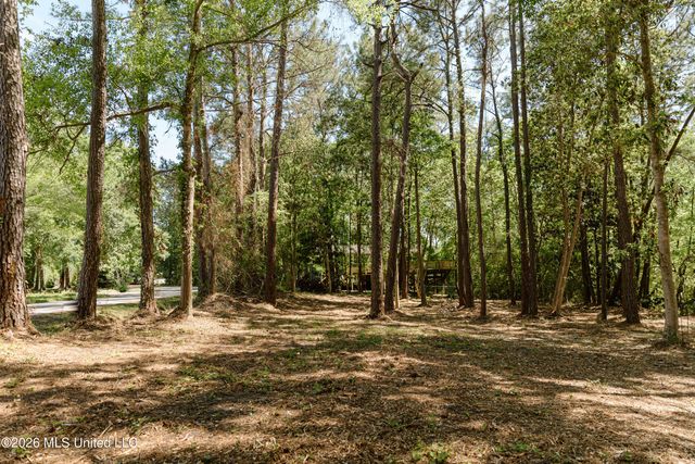 Honduras Drive, Gautier, MS 39553