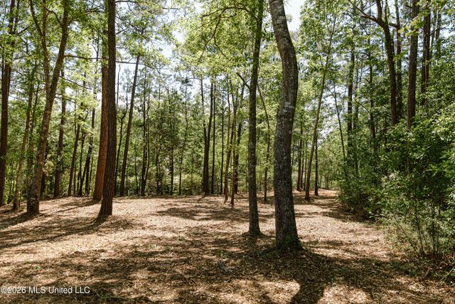 Honduras Drive, Gautier, MS 39553