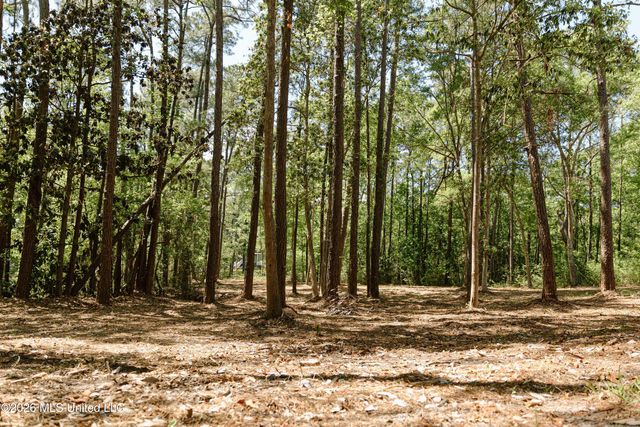Honduras Drive, Gautier, MS 39553