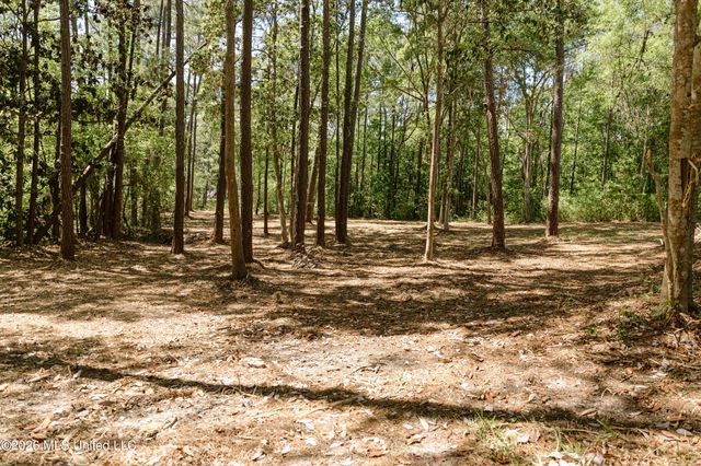 Honduras Drive, Gautier, MS 39553