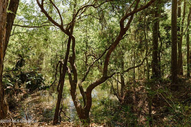 Honduras Drive, Gautier, MS 39553