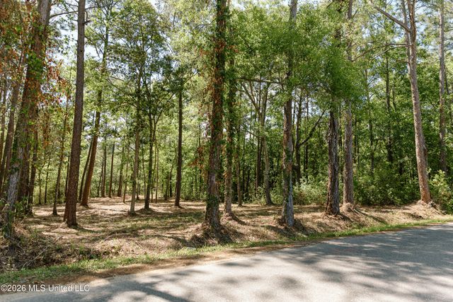 Honduras Drive, Gautier, MS 39553
