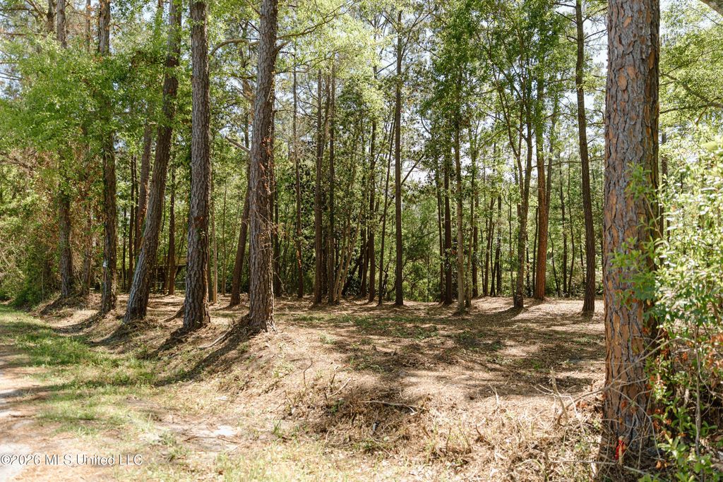 Honduras Drive, Gautier, MS 39553