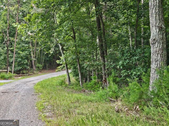 1467 Hanna Drive, Ranger, GA 30734