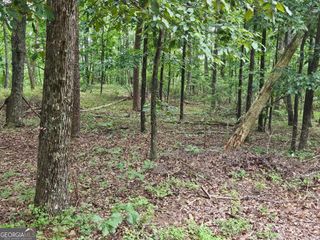 1467 Hanna Drive, Ranger, GA 30734